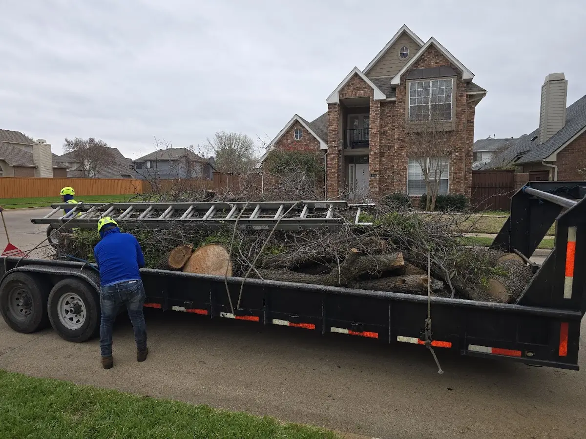 Expert Tree Removal with proper safety equipment in Powells Point